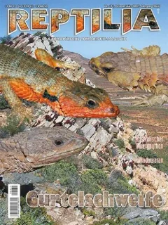 Reptilia (Tyska)