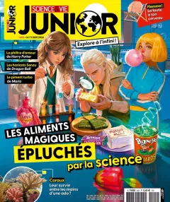 Science & Vie Junior (Franska)