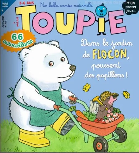 Toupie Maxi Jeux (Franska)