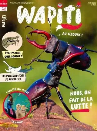 Wapiti (Franska)